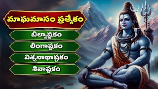 🔱మాఘమాసం ప్రత్యేకం|శివుడి పాటలు|శివ స్తుతి|లింగాష్టకం|బిల్వాష్టకం|శివ భక్తి గీతాలు |పరమశివుని మహిమ 🔱