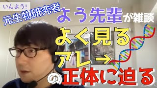 【いんよう!】ゲノムDNAって何なん？知っておいてほしいことはコレです【切り抜き】