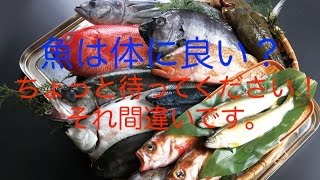 【健康 食事】魚は体に良い？ちょっと待ってください！養殖魚と天然魚の違い？全く別の食べ物ですが・・・