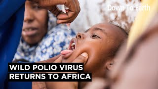 Wild Polio Virus Returns to Malawi