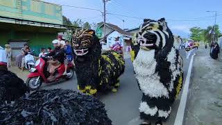 Live Kirab Can Macanan Ba Lakek Hamdians Acara Nikahan Di Sumber Jambe Jember