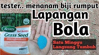 Cara menanam benih/biji rumput agar cepat tumbuh