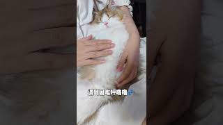 小猪小猪软乎乎，遇到问题咕噜噜，妈妈的怀抱真舒服！