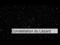 Constellation du Lézard