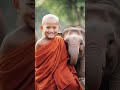 #viral little monk So Cute🌿🌿🌵🥰#baby #cute#monk #1lover #love #vcliptube #vclip