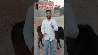 Day 60/100 Challenge #viral #shorts #day60 #youtube #sanatanichallenge #sanatanisiddhanttripathi