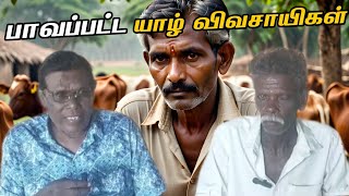 எதுவுமே சரியா அமையல| பணப்பயிர் செய்த நாங்க இப்போ? #யாழ்ப்பாணம் #jaffnafarmers #விவசாயி #சரவணை #தமிழ்