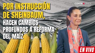 CONTRALÍNEA EN VIVO | Por instrucción de Sheinbaum, hacen cambios profundos a reforma del maíz