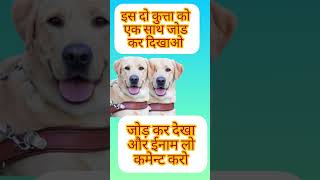 ये दोनों कुत्ता को एक साथ जोड कर दिखाओ #motivation #comedyvideo #animalsounds #buffalos #cowsound