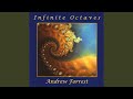 Witnessing Infinity