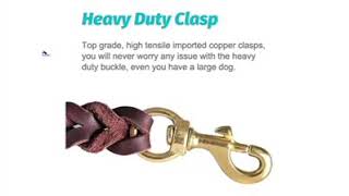 BlueSky Concepts -6 Foot Leather Braided Dog Leash for Walking and Training-K9
