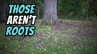 We Were Digging at an 1880s Homestead…Then This Happened