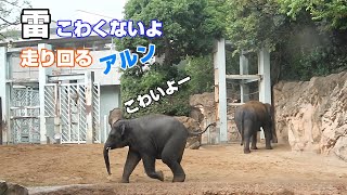 雷でプールに避難するアルン　ウタイちゃん　スーリヤさん　2023年8月1日