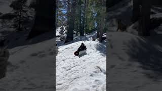 Extreme sledding