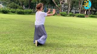 （Taichi ）Sifu Tsui Tin Ying徐鈿英師傅 42式太極拳-如對似閉-慢動作前後分享。