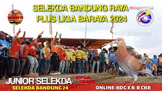 Laga Paling Seru Merpati balap Babak 4-5 Selekda Bandung 24