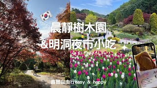 🇰🇷晨靜樹木園+明洞夜市小吃/首爾自由行easy \u0026 happy