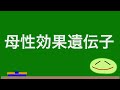 【生物】共通テスト対策　 共通テスト　 大学受験 高校生物