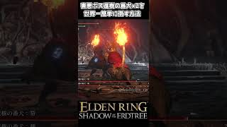 【エルデンリングDLC】害悪ボス還樹の番犬×2を世界一簡単に倒す方法 #eldenring #エルデンリング