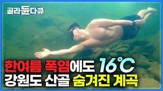 강원도 평창에 숨겨진 계곡을 찾은 초보 유튜버｜수영 강사 출신 자신만만하게 몸풀고 들어갔는데, 얼음장 같은 수온에 화들짝 놀랐다!｜강원도 숨겨진 계곡｜한국기행｜#골라듄다큐