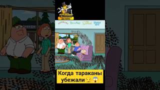 Когда тараканы убежали 😱😏 #гриффины #familyguy #сериал