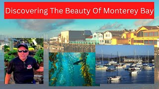 Uncovering Monterey Bay's Hidden Treasures - California's Must-See Coastline!