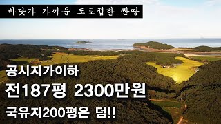 바다근처에 공시지가보다 싼땅 거기에 국유지200평 덤, 도로접한 전187평 2300만 가을 경치 구경하세요! Autumn in Korea