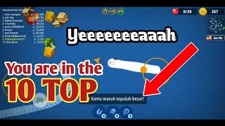 wormszone game | you are in the top 10 | game cacing