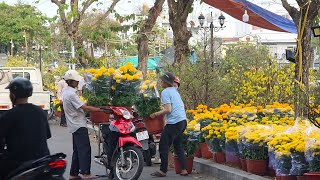 TẾT MIỀN TÂY BẤT NGỜ CHỢ TẾT Ở QUÊ NHIỀU THAY ĐỔI