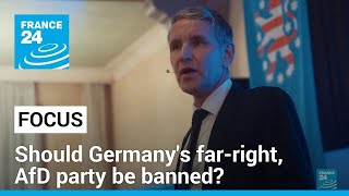 Germany: After leaked deportation plans, civil society urges ban on far-right AfD • FRANCE 24