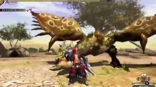 MH3G　リオレイア　大剣3分14秒　ソロ