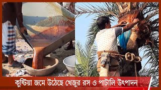 কুষ্টিয়া জমে উঠেছে খেজুর রস ও পাটালি গুড়ের উৎপাদন | গাছ থেকে খেজুরের রস পেড়ে দিচ্ছেন গাছীরা 1Dec.21