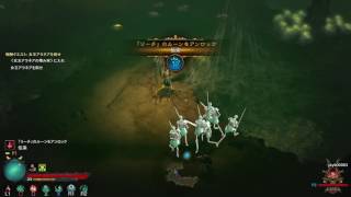 Diablo3 Reaper of Souls その37 フレンドにネクロマンサーのレベルを70まで上げてもらおう