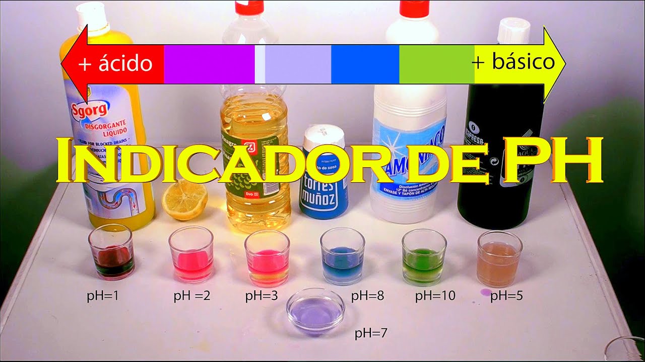 INDICADOR DE PH CASERO - YouTube