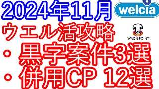 【ウエル活】2024年11月　ウエル活攻略動画　黒字案件3選　併用キャンペーン12選