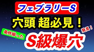 フェブラリーステークス2023予想【上位を脅かすS級の爆穴１頭！】二桁人気でも絶好期到来！