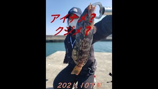 【宮城県のアイナメを求めて】アイナメのお刺身が食べたくて釣りに行きました。