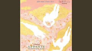 String Quartet No. 11 in A Major, Op.posth.125 No. 2, D.353: II. Andante