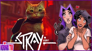 MINX PLAYS WITH AN ADORABLE PUSSY (CAT) | Stray - Full Longplay