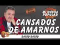 cansados de amarnos darío darío con letra video lyric