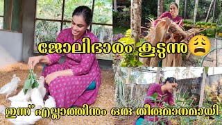 ജോലിഭാരം കൂടുന്നു😩 | ഇന്ന് എല്ലാത്തിനും ഒരു തീരുമാനമായി | Cleaning Day | Kerala പത്തിരി Recipe😋