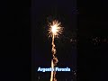 riesen zerleger und langstehende goldeffekte argento feronia fireworks vuurwerk