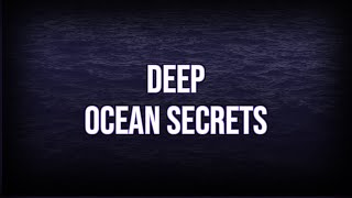 Unraveling the Secrets of the Deep Ocean: Discoveries That Shocked the World