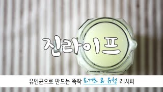 [진라이프] 황세란유인균으로 만드는 뚝딱 요거트\u0026유청 레시피