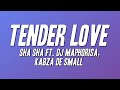 Sha Sha - Tender Love ft. DJ Maphorisa, Kabza De Small (Lyrics)