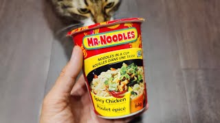 Mr Noodles Spicy Chicken Noodles