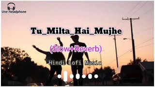 Tu Milta Hai Mujhe [Slowed+Reverb] Lyrics-Raj Barman || Indian Music || hindi lofi music | Lofi song