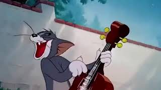 Tom and Jerry ഇവന്മാരുടെ ഓരോ കലാപരിപാടികൾ എ😁😁😁