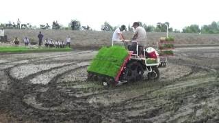 YANMAR | Transplanter operation on the field