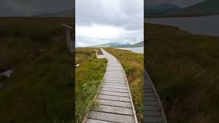 Naturwunder Irlands: Einzigartige Perspektiven auf dem Holzwanderweg! #irland #wanderlust #ireland